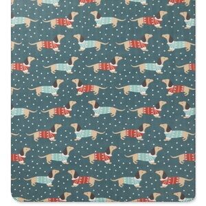 Charming Dachshund Dog Blanket - Teal and Red